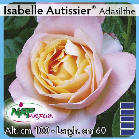 Isabelle Autissier